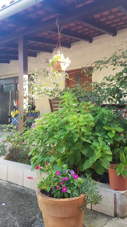 Apartment Ecio Banjole Exterior photo